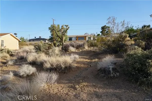 Joshua Tree, CA 92252,61539 El Cajon