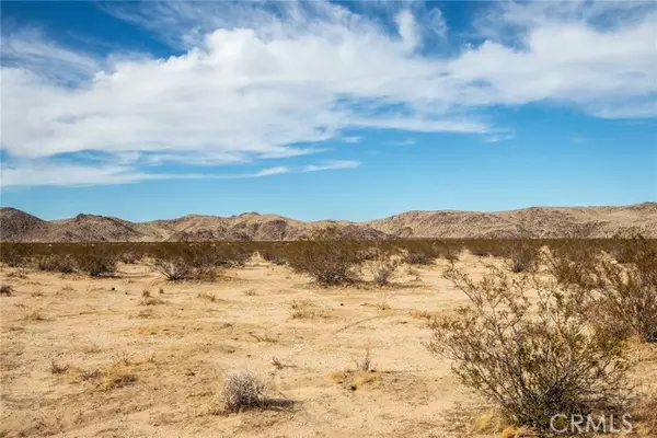 Joshua Tree, CA 92252,777 Sunever