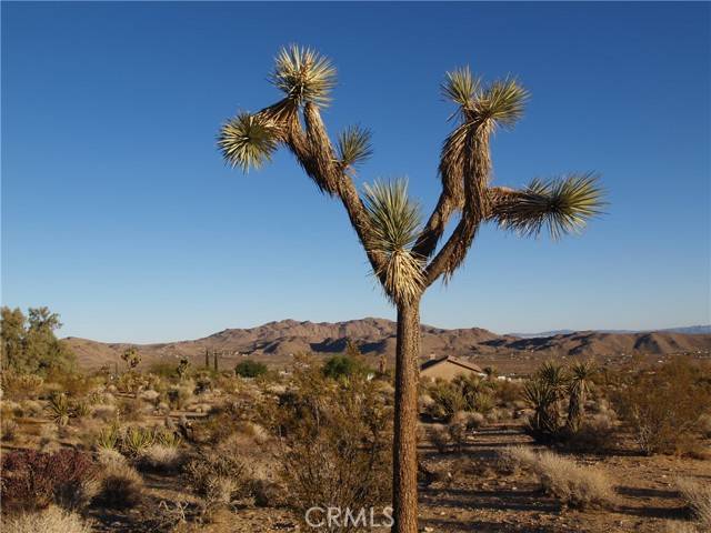 7275 Saddleback, Joshua Tree, CA 92252