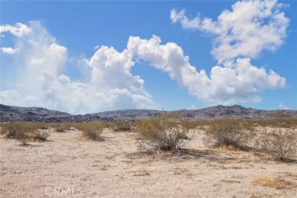 Joshua Tree, CA 92252,2000 Robinson