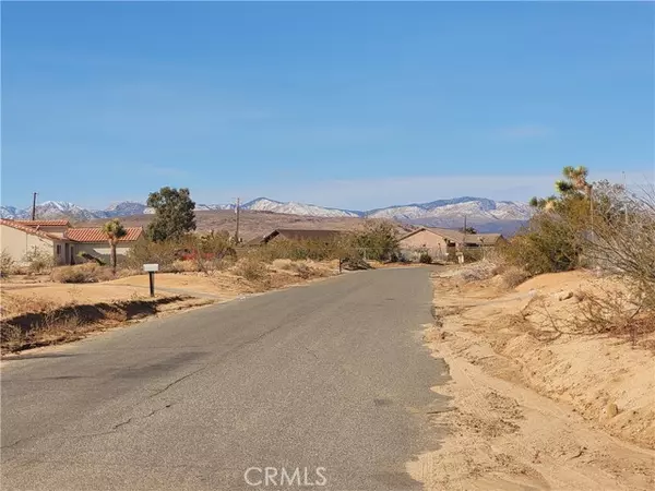 Yucca Valley, CA 92284,0 Campanula