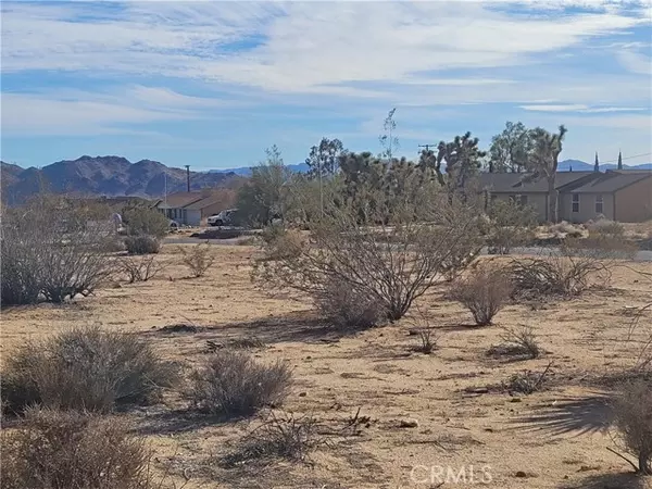 Yucca Valley, CA 92284,0 Campanula