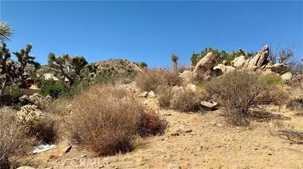 Yucca Valley, CA 92284,1 Elk