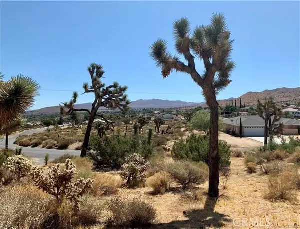 Yucca Valley, CA 92284,1 Elk