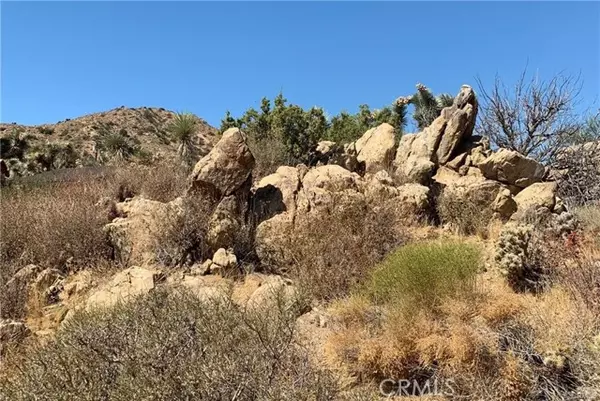 Yucca Valley, CA 92284,1 Elk