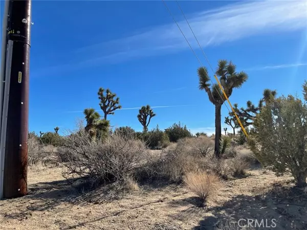 Yucca Valley, CA 92284,0 Carlsbad