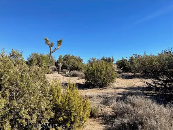 Yucca Valley, CA 92284,0 Carlsbad