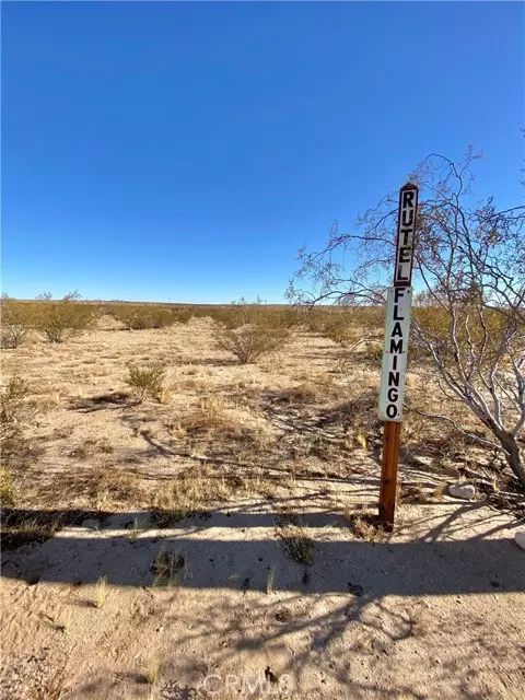 Joshua Tree, CA 92252,781 Flamingo