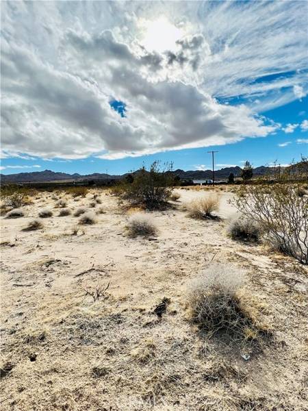 0 Chollita, Joshua Tree, CA 92252