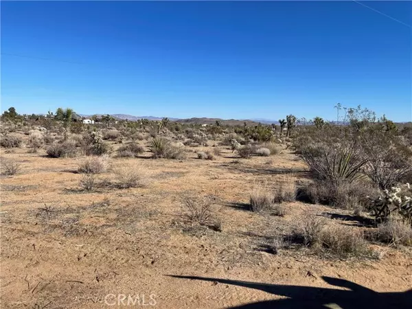 Yucca Valley, CA 92284,0 Cieltio