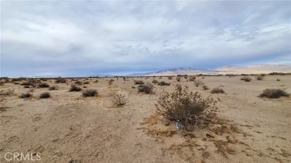 29 Palms, CA 92277,0 Kelly