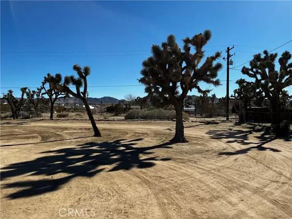 Yucca Valley, CA 92284,56581 Cassia Drive