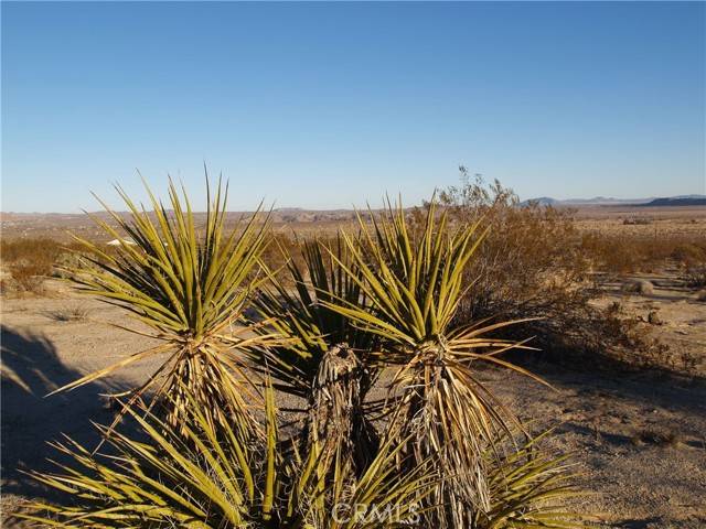 0 Foothill + Lawrence, Joshua Tree, CA 92252