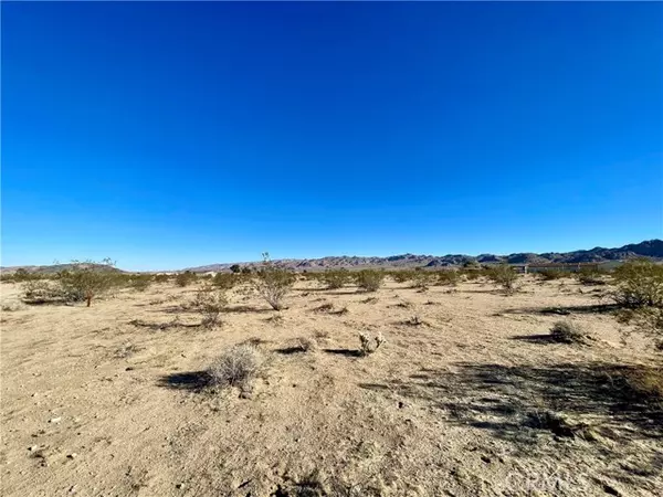 Joshua Tree, CA 92252,1 Gold Nugget