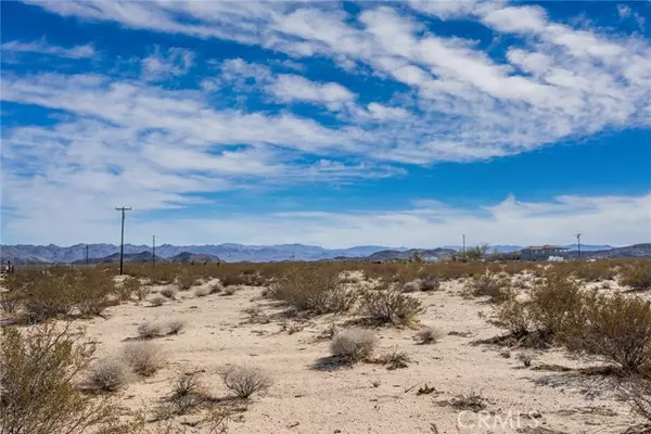 Joshua Tree, CA 92252,1400 Learco