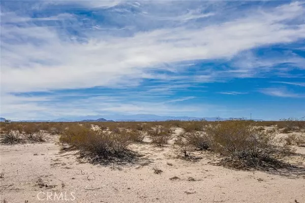 Joshua Tree, CA 92252,1400 Learco