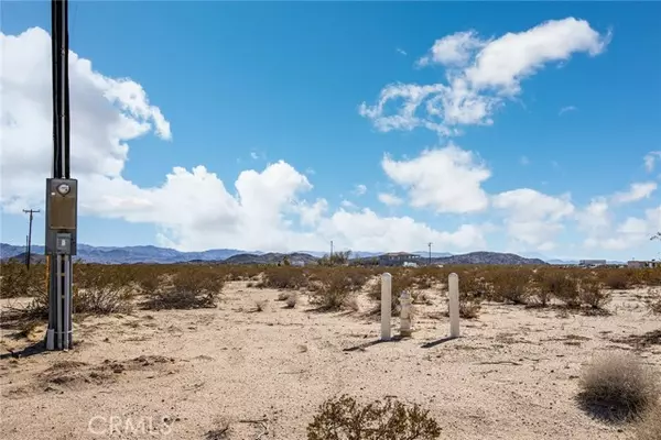 Joshua Tree, CA 92252,1400 Learco