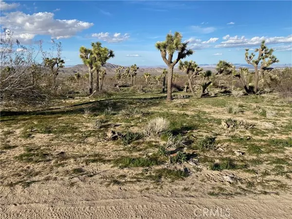 Joshua Tree, CA 92252,59488 Onaga