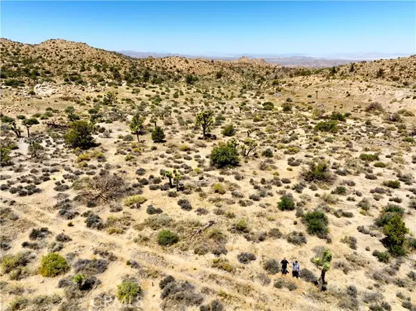 Joshua Tree, CA 92252,0 Nolina Cove