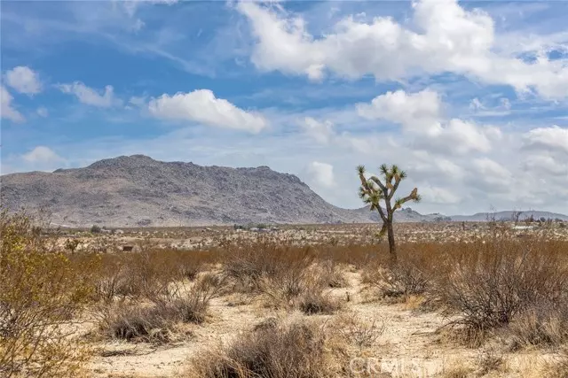 Joshua Tree, CA 92252,1000 Manana