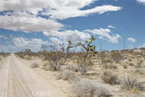 Joshua Tree, CA 92252,1000 Manana