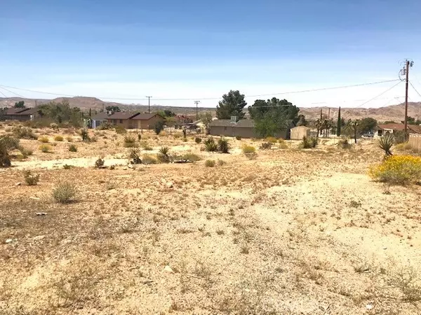 Joshua Tree, CA 92252,0 Alta Loma