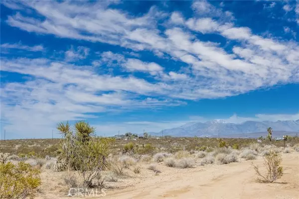 Joshua Tree, CA 92252,3205 Del Sol