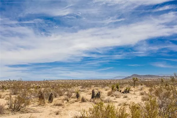 Joshua Tree, CA 92252,3205 Del Sol