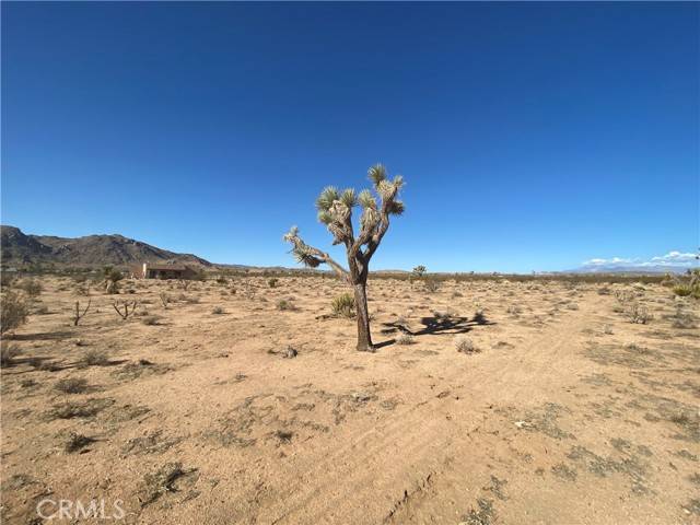 123 Aberdeen, Joshua Tree, CA 92252