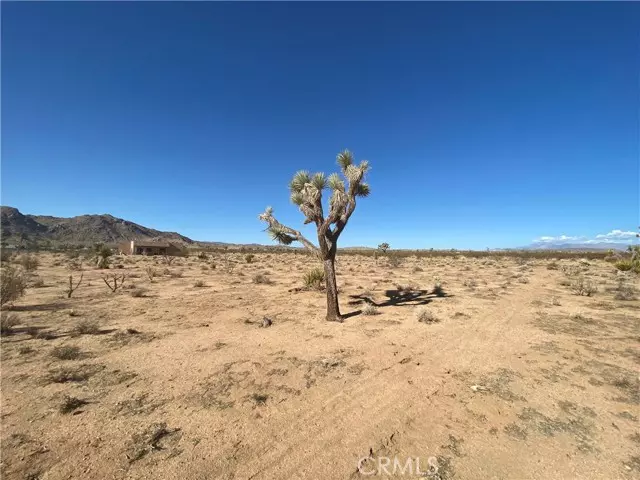 Joshua Tree, CA 92252,123 Aberdeen