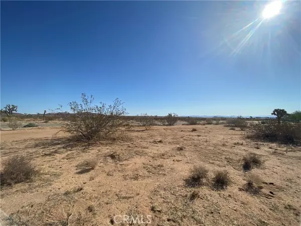 Joshua Tree, CA 92252,123 Aberdeen