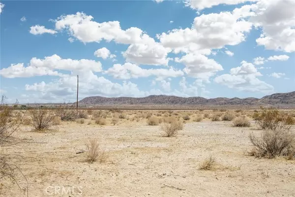 Joshua Tree, CA 92252,65100 Reagan