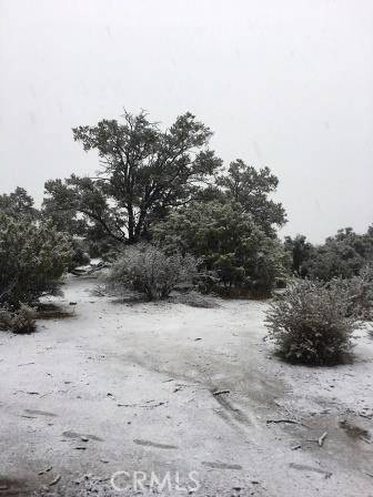 Pinyon Pines, CA 92561,0 Pinesmoke