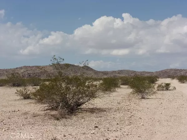 Joshua Tree, CA 92252,0 Rainer