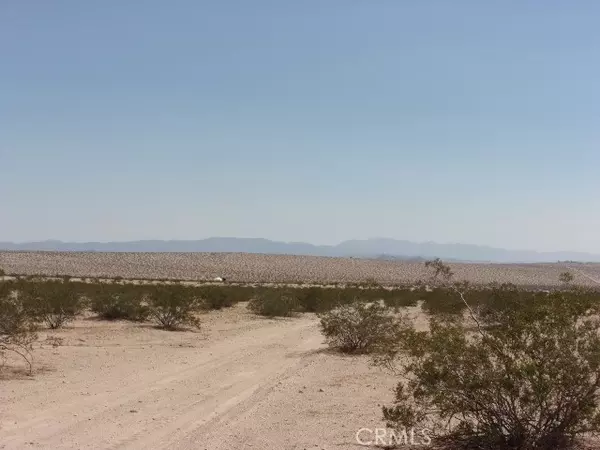 Joshua Tree, CA 92252,0 Rainer