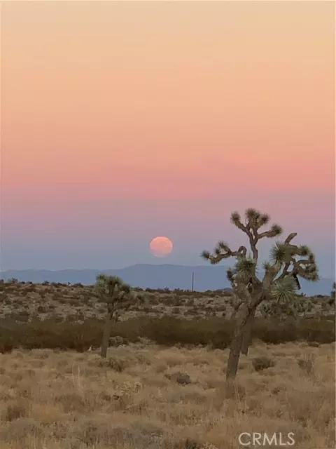 Joshua Tree, CA 92252,60775 Cielito