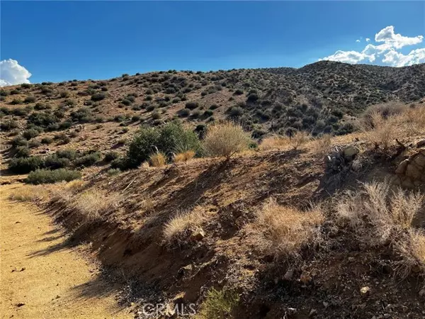 Pioneertown, CA 92268,0 Orange Trail