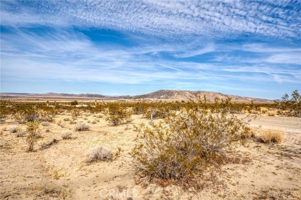 Joshua Tree, CA 92252,0 Copper Mountain Rd