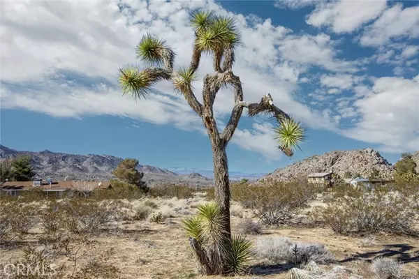 Joshua Tree, CA 92252,8776 Uphill