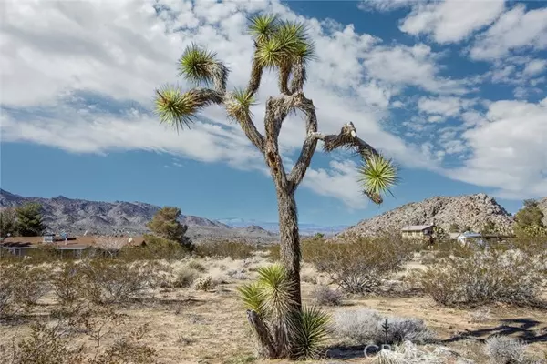 Joshua Tree, CA 92252,8776 Uphill