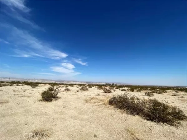 29 Palms, CA 92277,123 Nardina