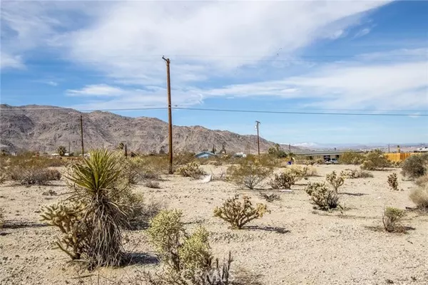 29 Palms, CA 92277,7600 Bedouin