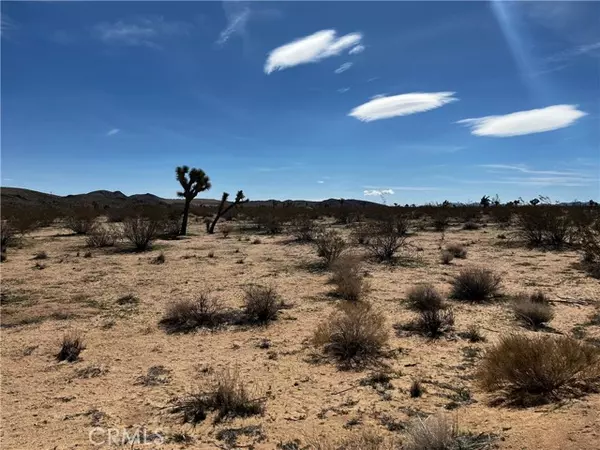 Landers, CA 92285,175 Rainbow