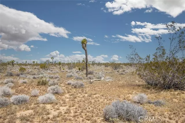 Yucca Valley, CA 92284,2000 Avalon