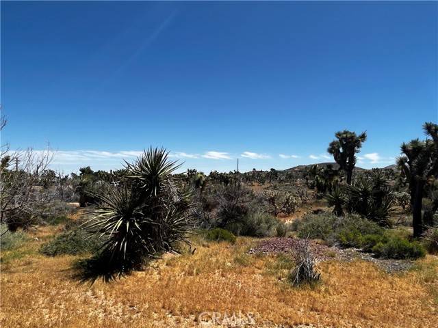 0 Piute, Yucca Valley, CA 92284