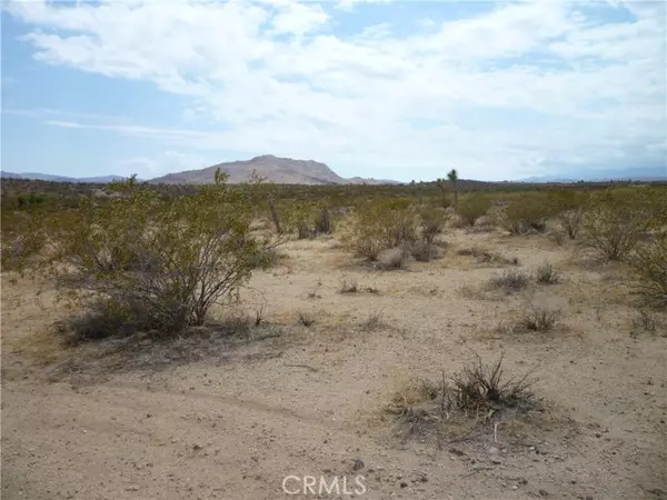 Joshua Tree, CA 92252,2345 Sunny Sands