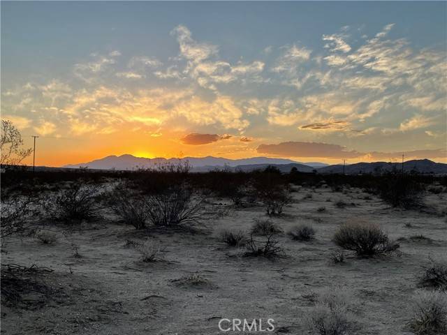 63776 Chollita, Joshua Tree, CA 92252