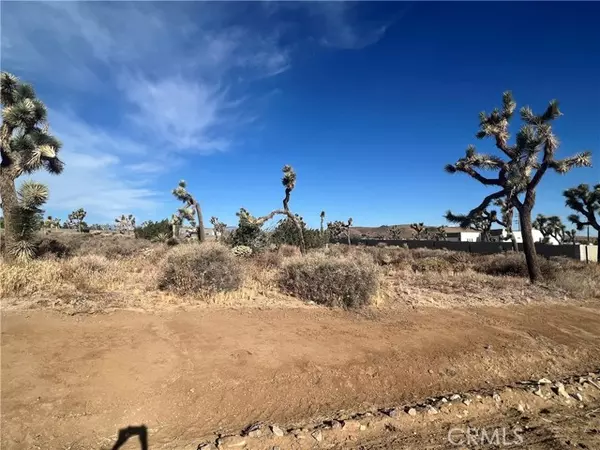 Yucca Valley, CA 92284,111 Wallaby