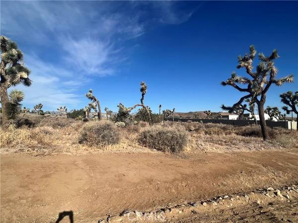 Yucca Valley, CA 92284,111 Wallaby