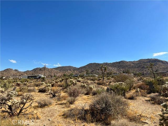 61167 Melton, Joshua Tree, CA 92252